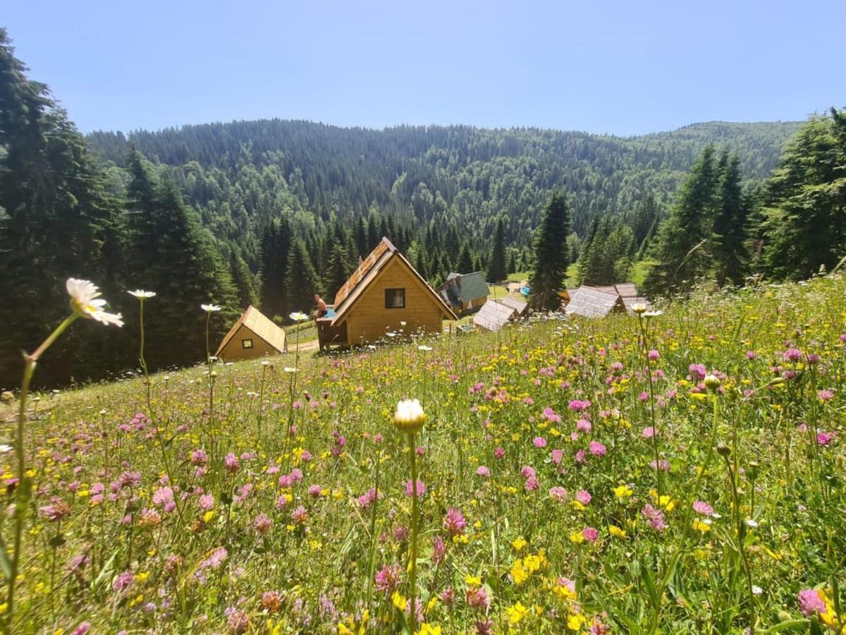 Eko Katun Bungalows Jelovica Berane Zewnętrze zdjęcie