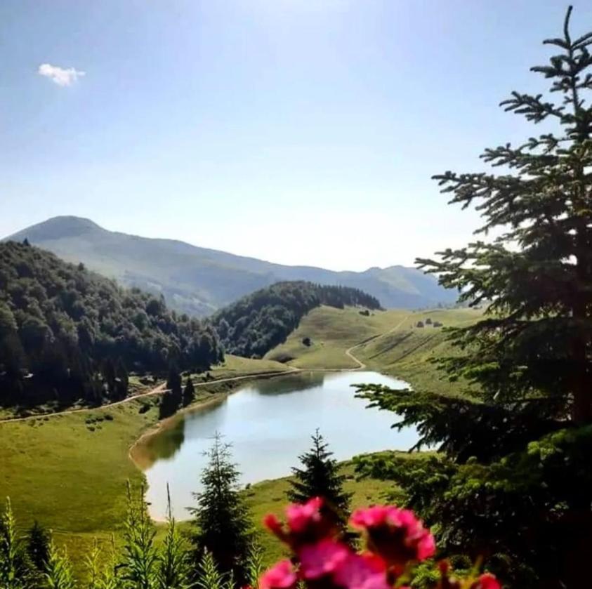 Eko Katun Bungalows Jelovica Berane Zewnętrze zdjęcie